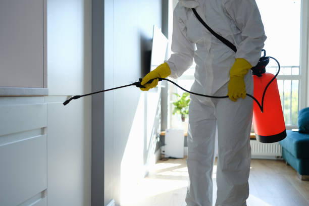 Best DIY Mold Remediation Support Services in North Yelm, WA